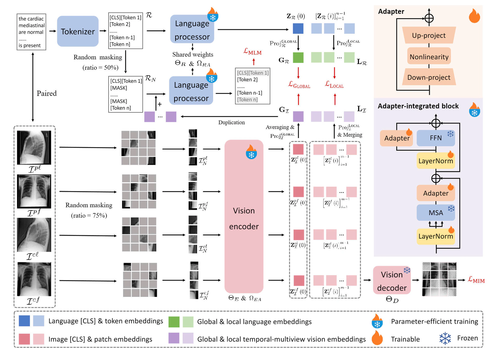 Efficient Medical Vision-Language Alignment Through Adapting Masked Vision Models