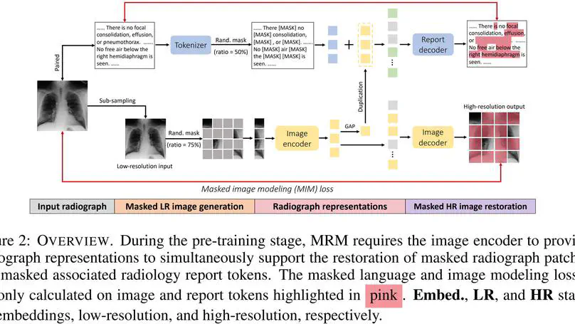Advancing Radiograph Representation Learning with Masked Record Modeling